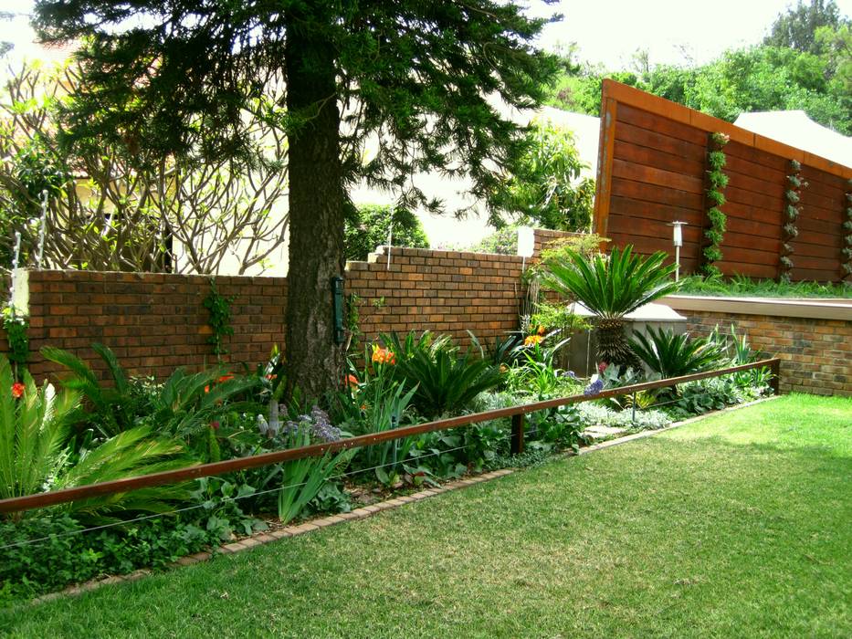 Working with walls Young Landscape Design Studio Modern Garden privacy screens,ideas,vertical planting,succulents,landscape,landscape design,walls