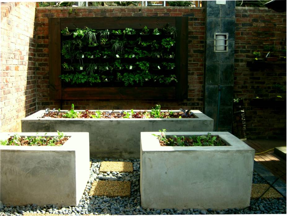 Working with walls Young Landscape Design Studio Modern Garden vertical planting,gro-wall,buildup gardenbeds,vegetable garden,herb garden,landscape design,small space,small garden