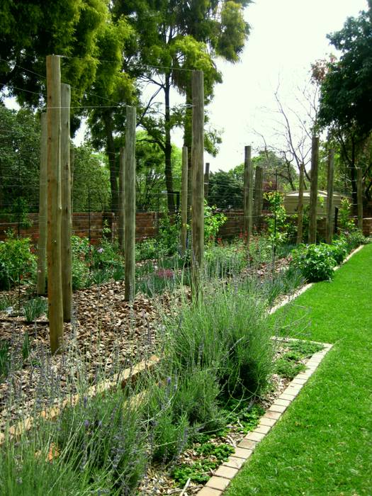 Large Family Garden Young Landscape Design Studio Modern Garden