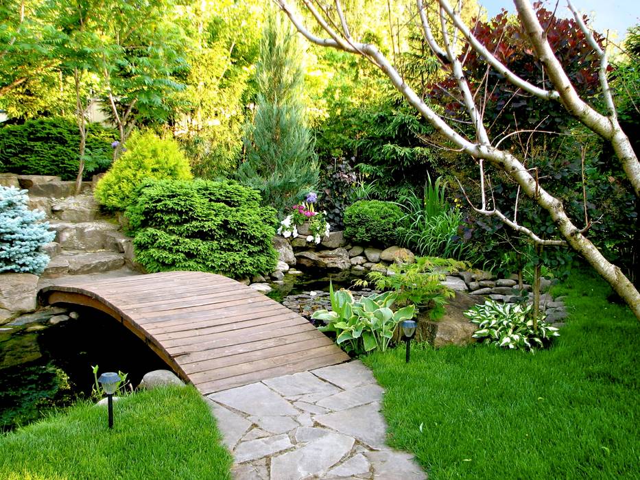 Акцент на хвойные | homify