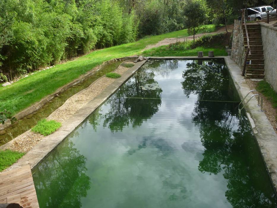 PISCINAS NATURALES, jardinista jardinista Pool