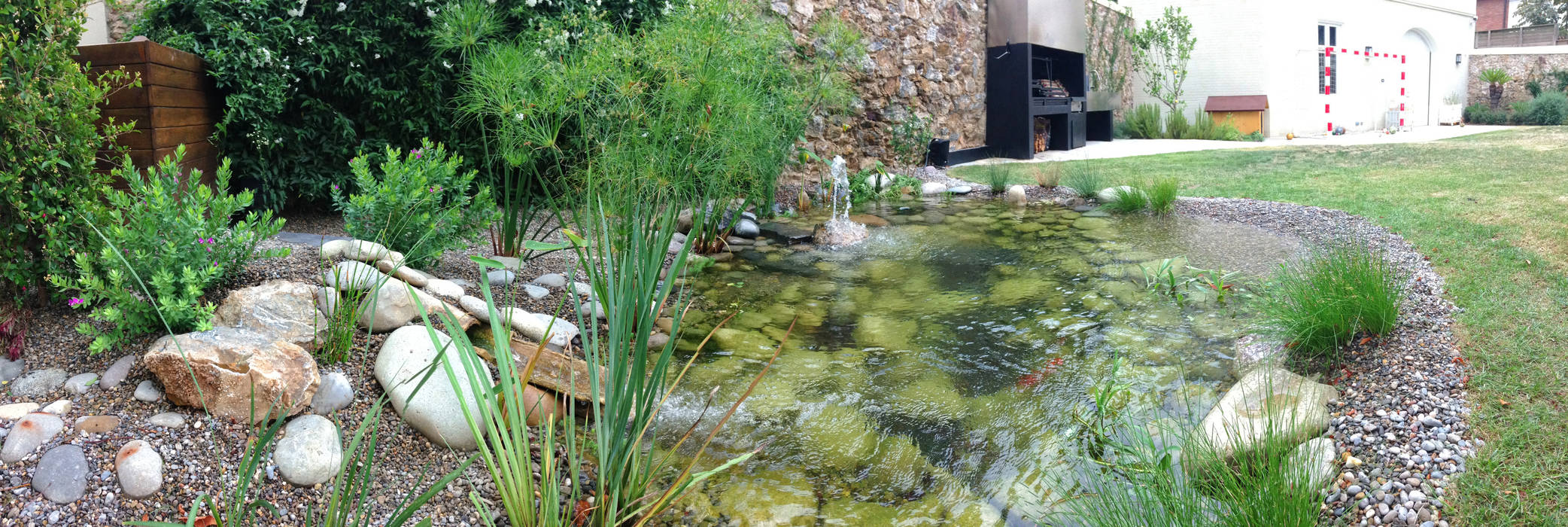 ESTANQUES, jardinista jardinista Swimming pond