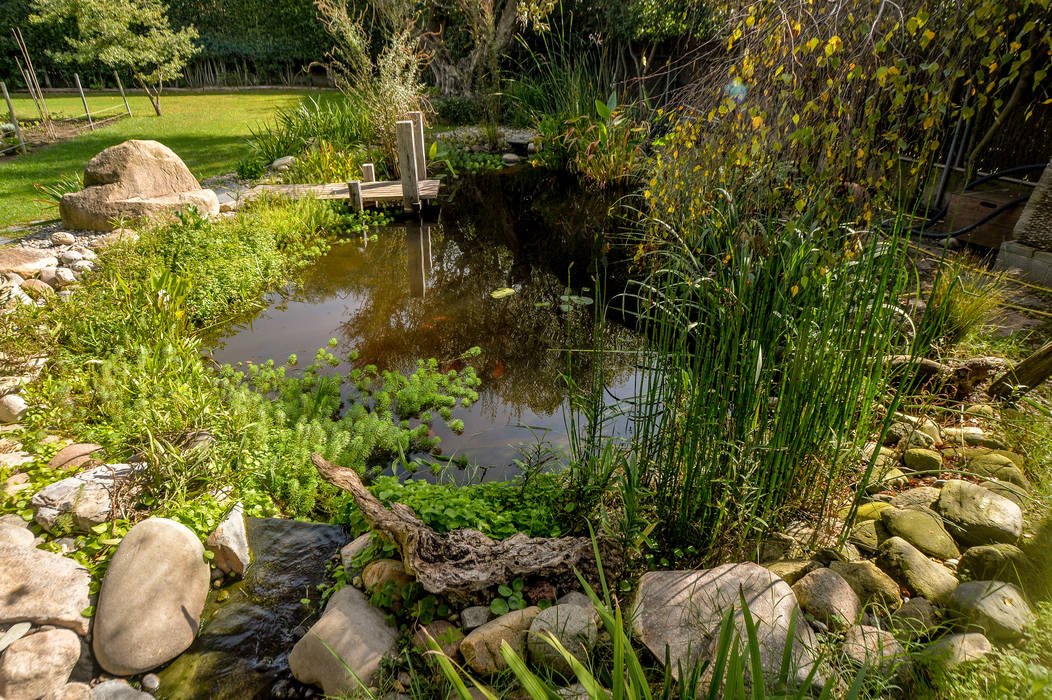 ESTANQUES, jardinista jardinista Swimming pond