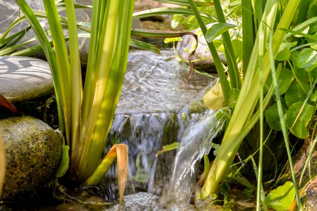 ESTANQUES, jardinista jardinista Пруды