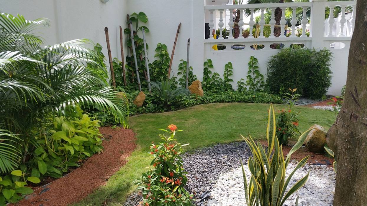 homify Jardines de estilo tropical