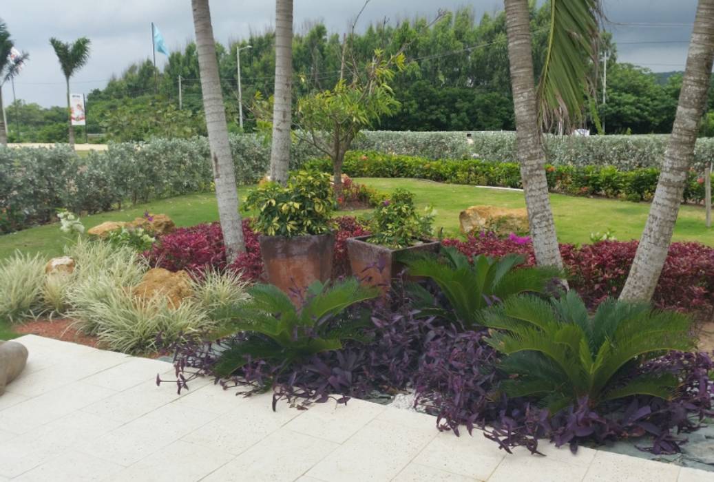 homify Jardines de estilo tropical