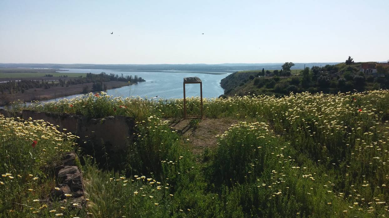 Asian style gardens by AMALGAMA Asian