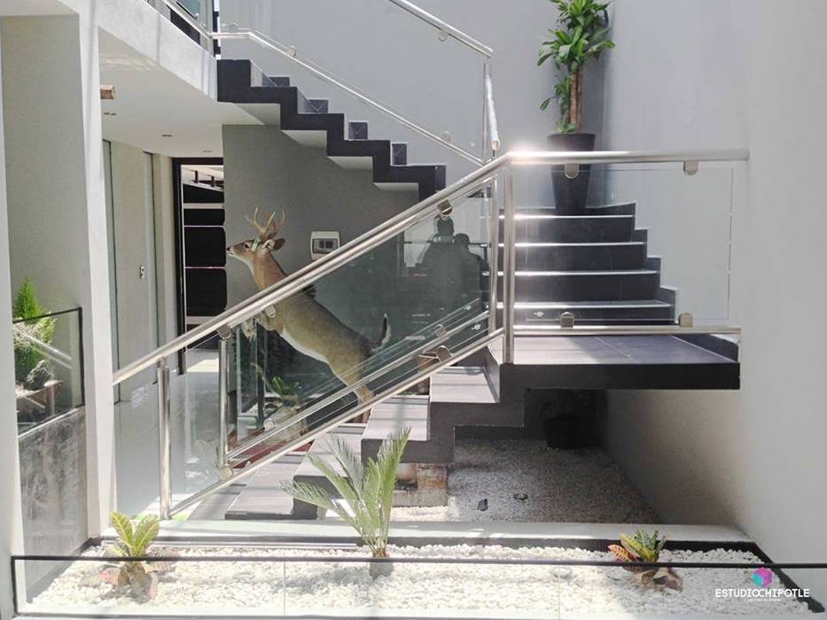 Casa 102, Estudio Chipotle Estudio Chipotle Pasillos, vestíbulos y escaleras minimalistas