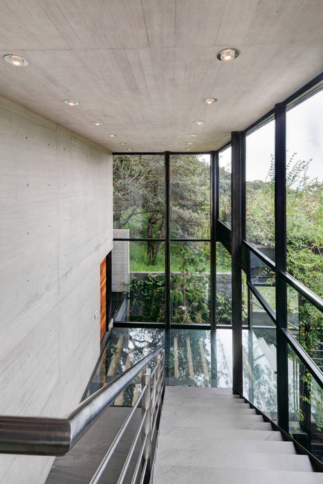 La Casa en el Bosque grupoarquitectura Pasillos, vestíbulos y escaleras modernos