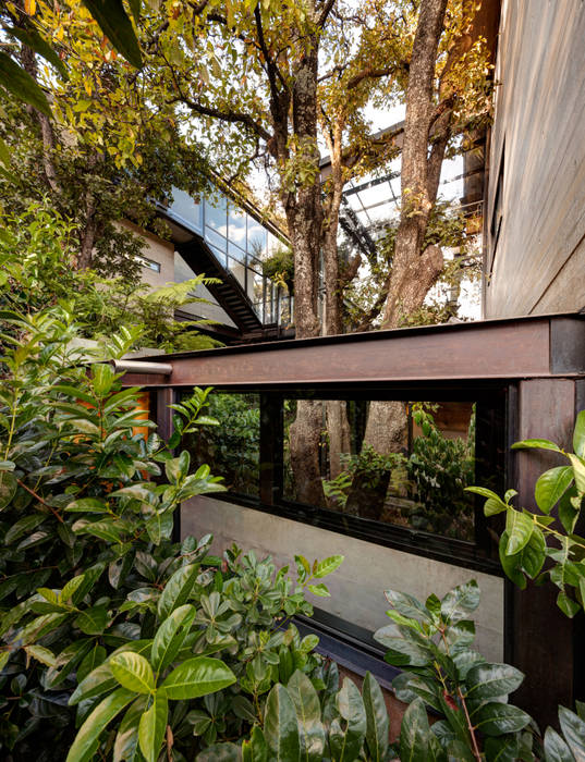 La Casa en el Bosque, grupoarquitectura grupoarquitectura Modern style gardens