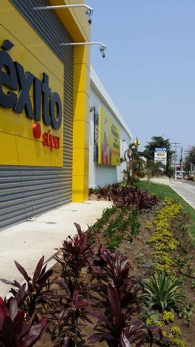 ALMACEN EXITO CALLE 76 - BARRANQUILLA - COLOMBIA, BRASSICA SOLUCIONES PAISAJISTICAS S.A.S. BRASSICA SOLUCIONES PAISAJISTICAS S.A.S. สวน