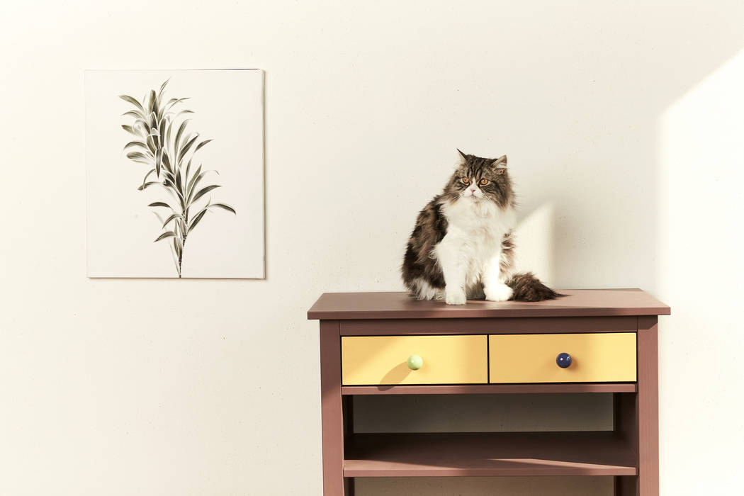 반려동물 가구 Pet Furniture – 찰리브라운 수납장, TWOINPLACE TWOINPLACE Modern Living Room