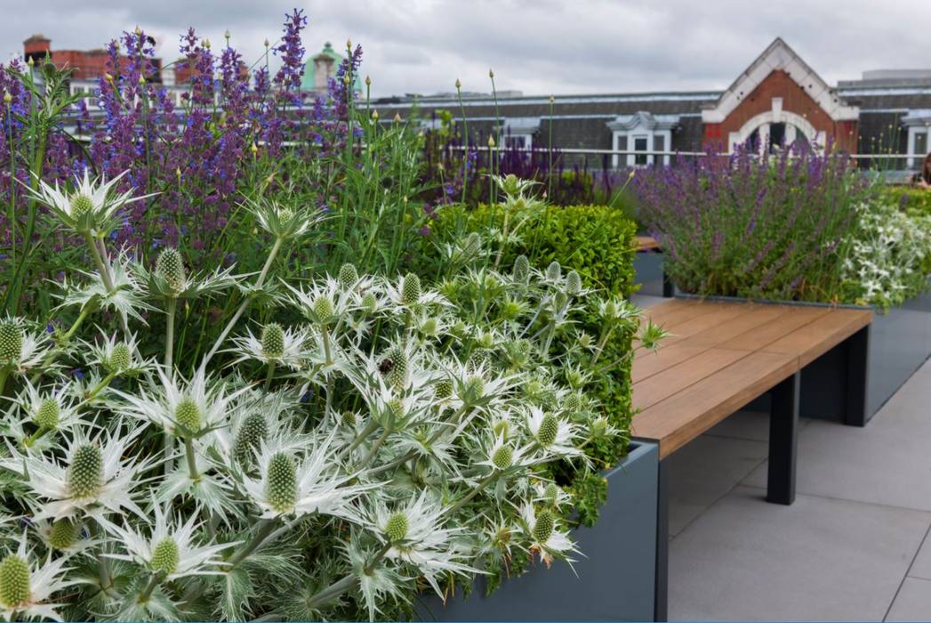 Ganton Street Roof Terrace London Aralia Commercial spaces Wood Wood effect rooftop terrace,rooftop garden,rooftop workplace,outdoor living,outdoor kitchen,outdoor bar,outdoor fridge,outdoor seating,garden furniture,Commercial Spaces