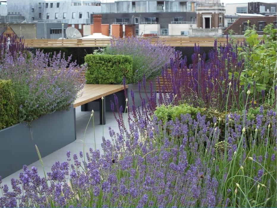 Ganton Street Roof Terrace Aralia Commercial spaces Wood Wood effect london roofterrace,timber bench,herbaceous,Commercial Spaces