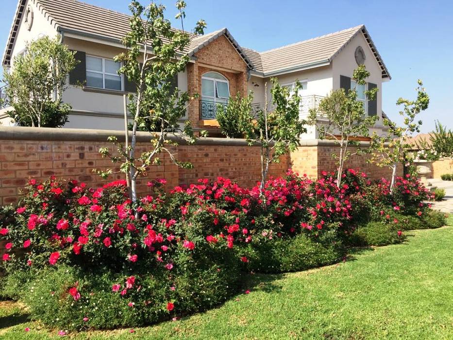 Gorgeous Gardens Mediterranean style garden