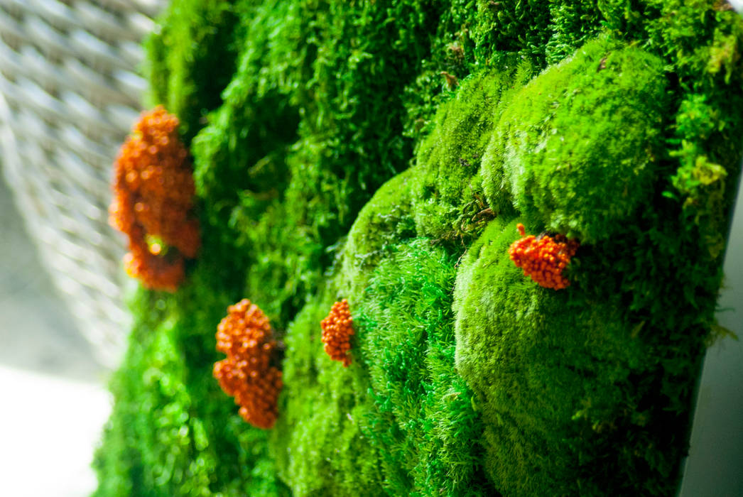 Jardín vertical en hall de entrada oficinas centrales Orange (Madrid), Landscapers Landscapers Espacios comerciales Centros comerciales