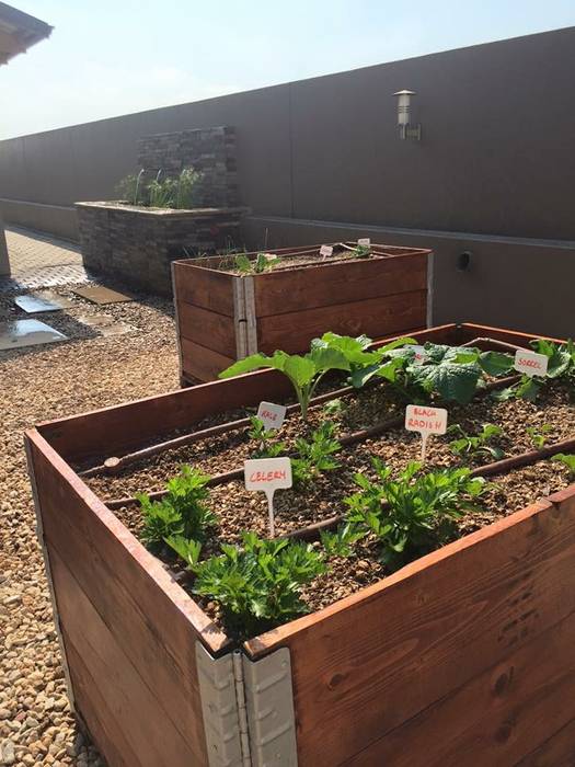 Organic Kitchen Garden with recycled wood planters Acton Gardens Country style garden Wood Wood effect