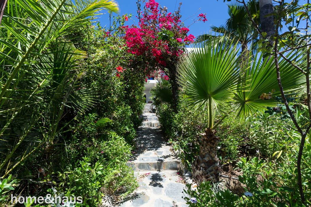 Jardín tropical Home & Haus | Home Staging & Fotografía Jardines de estilo mediterráneo