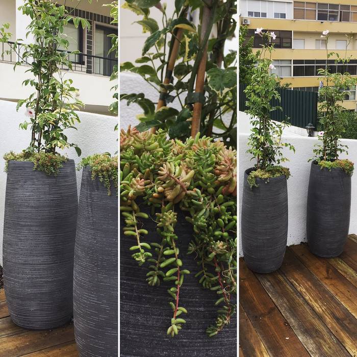 Projecto implementado moradia em Loures Jardins modernos por CatarinaGDesigns Moderno