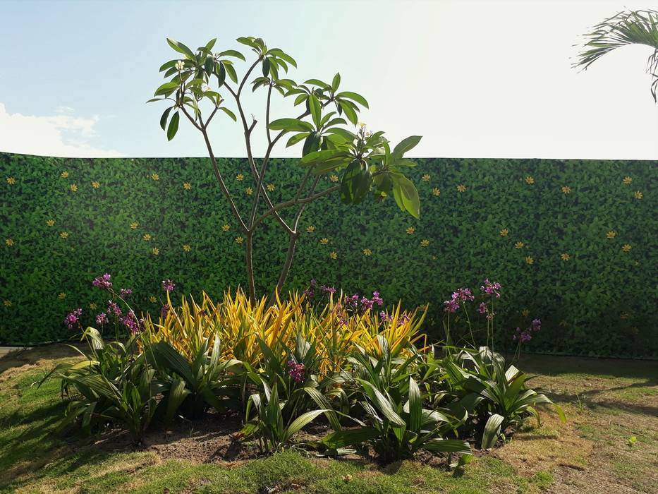 homify Jardin tropical