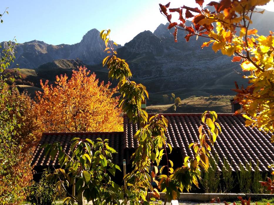 RUSTICASA | Cabañas Patagónicas | Outono, RUSTICASA RUSTICASA Bedrijfsruimten Massief hout Bont Hotels