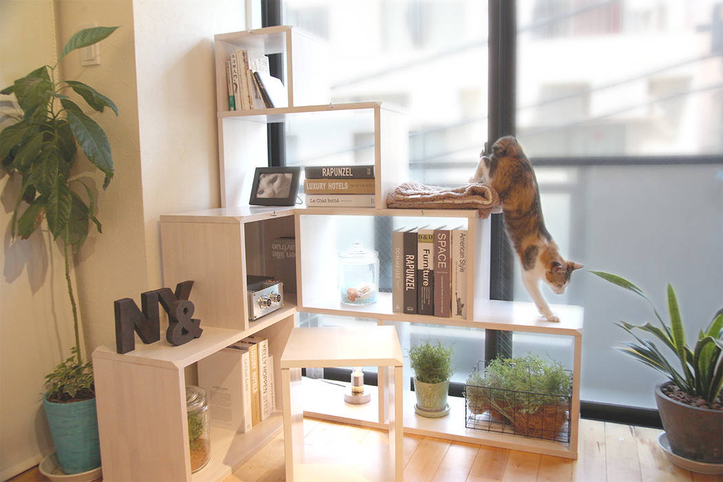 猫家具ニャンド nyand shelf - root, 一級建築士事務所アンドロッジ