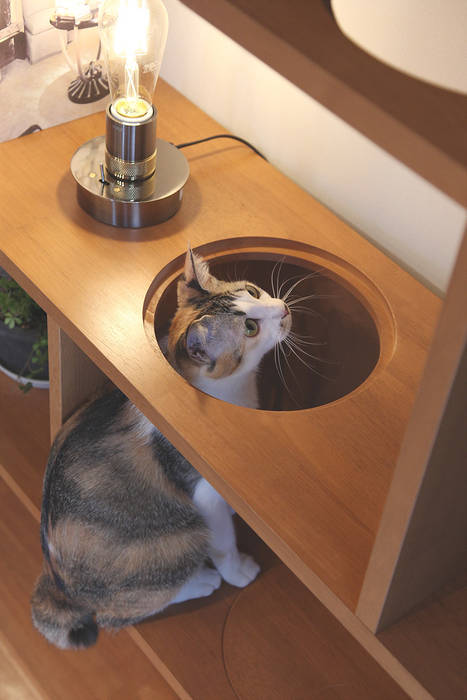NYAND ねこ家具　CAVE SHELF-R-右向き 000000000002.jpg
