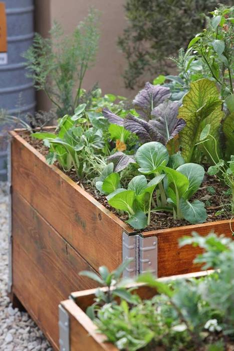 Organic vegetable and herb garden in recycled pallets planter Acton Gardens Industrial style garden Wood Wood effect