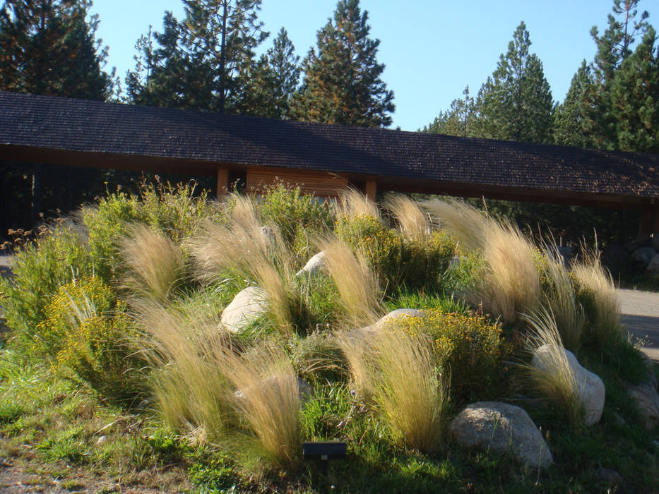 gramíneas al viento Pell Paisajismo Jardines rurales jardin silvestre