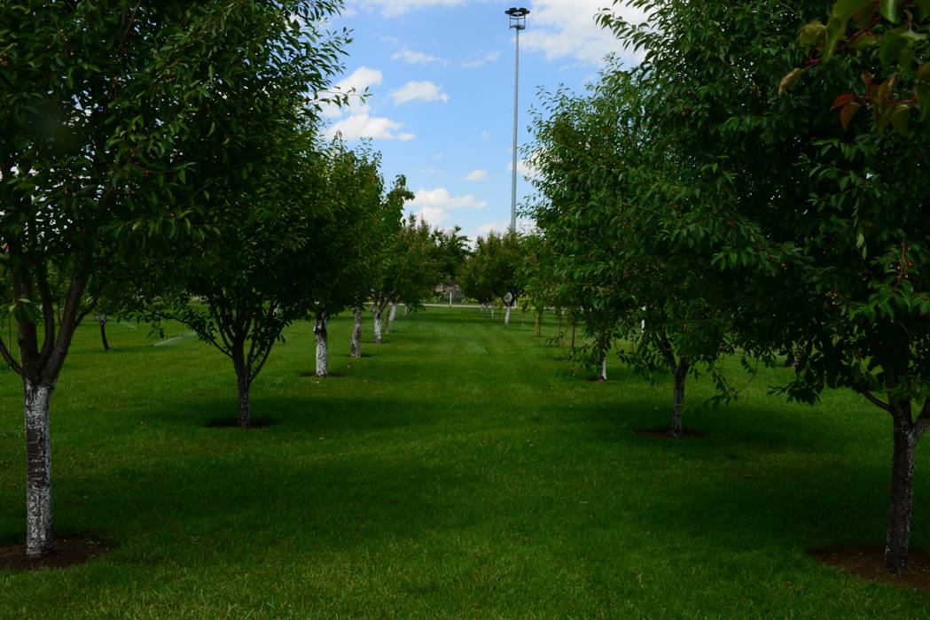 KARAASLAN HADİMİ PARKI, ÇİFTSAN BOTANİK VE AYDINLATMA ÇİFTSAN BOTANİK VE AYDINLATMA Kırsal Bahçe