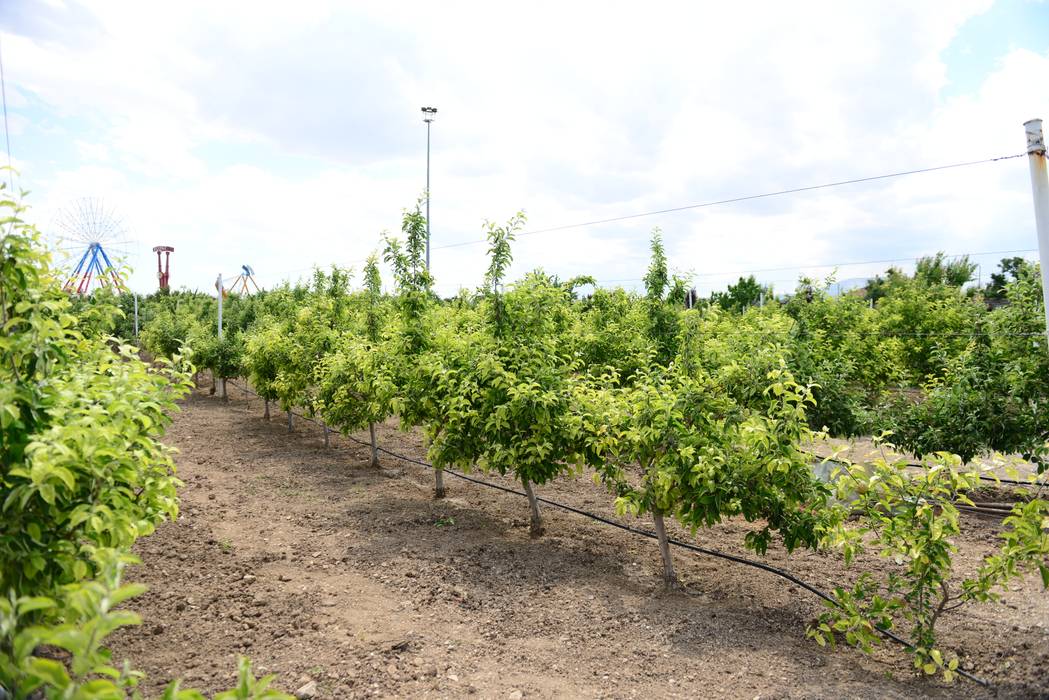 KARAASLAN HADİMİ PARKI, ÇİFTSAN BOTANİK VE AYDINLATMA ÇİFTSAN BOTANİK VE AYDINLATMA Kırsal Bahçe