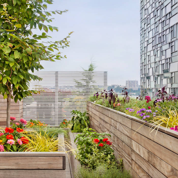 High Line Penthouse, New York, NY, BILLINKOFF ARCHITECTURE PLLC BILLINKOFF ARCHITECTURE PLLC 미니멀리스트 발코니, 베란다 & 테라스