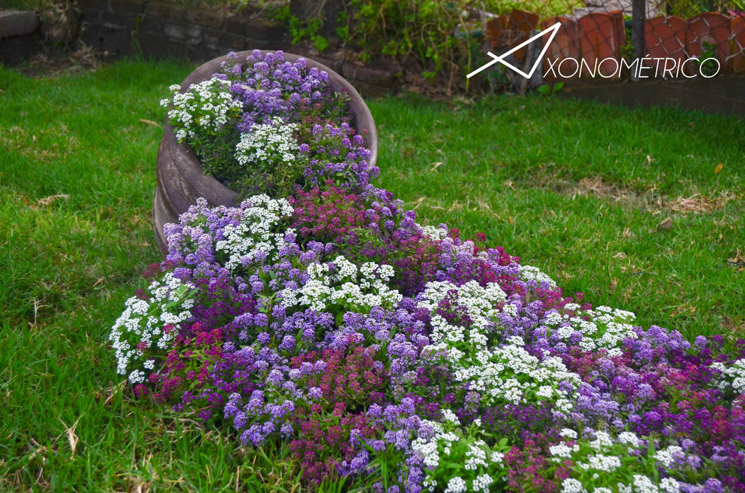 Jardin MirFar, Axonometrico Axonometrico Jardines modernos Jardin,Flores,Paisaje,Diseño de Paisaje,Plantas,Axonometrico