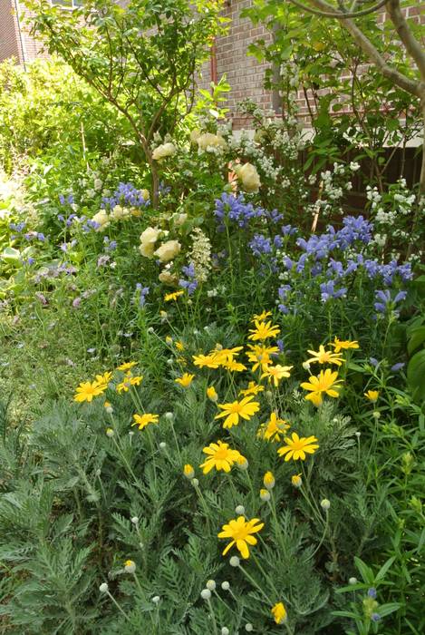 HOUSE GARDEN, 보테니크 보테니크 Sân trước