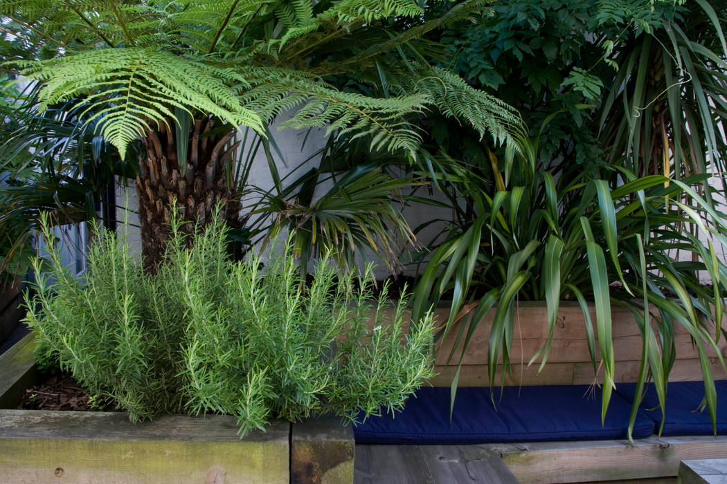 Outdoor Living Garden design in South London, Earth Designs Earth Designs Eclectic style garden