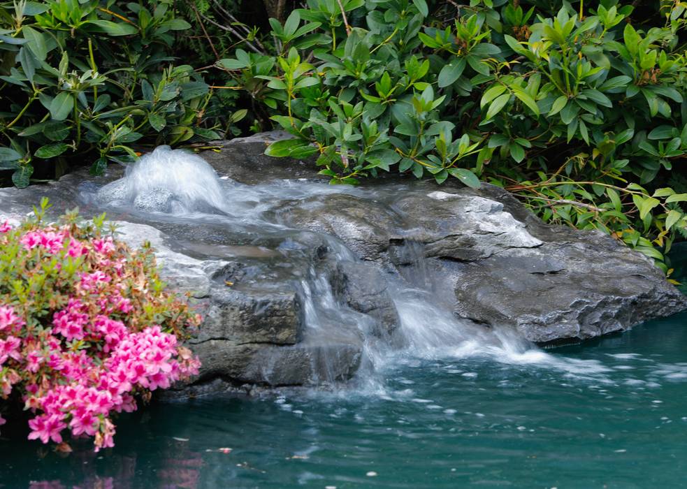 Schwimmteich in einem klassischen Garten, Jürgen Kirchner Wasser + Garten Jürgen Kirchner Wasser + Garten 정원 연못