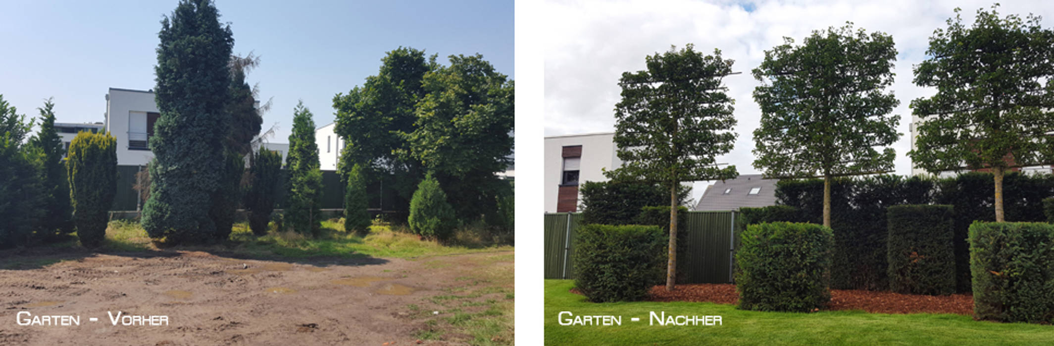 SWINGING GARDEN - Privatgarten in Krefeld, SUD[D]EN Gärten und Landschaften SUD[D]EN Gärten und Landschaften Taman Modern