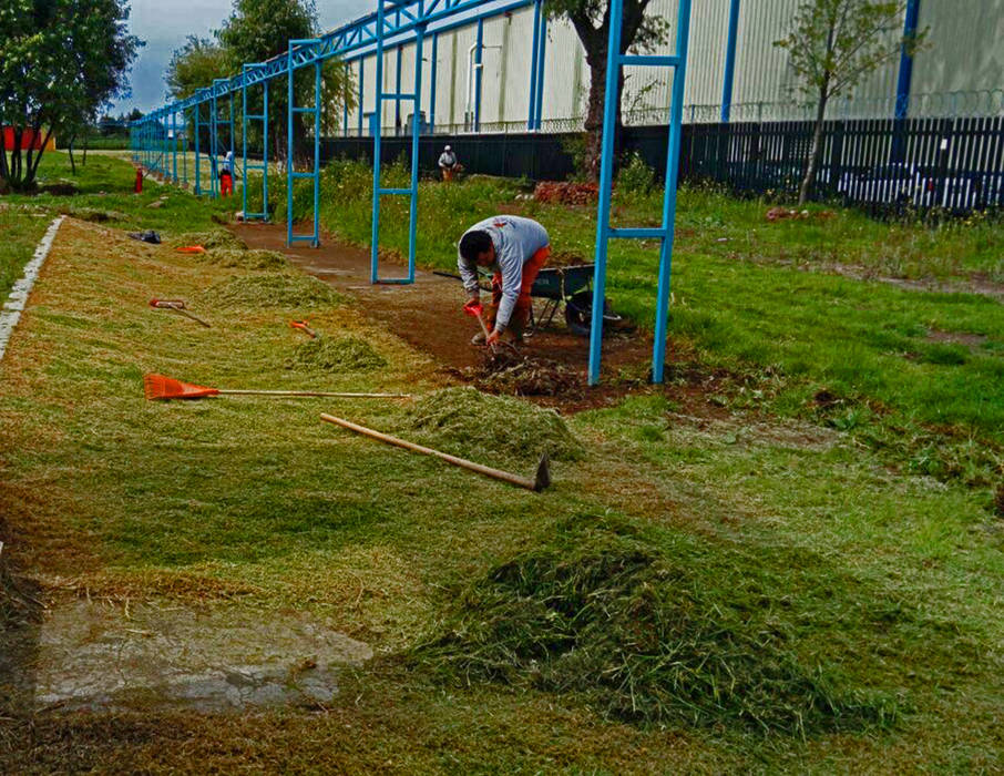 Jardinderia Industrial, terranova Proyectos de Jardinería y Limpieza terranova Proyectos de Jardinería y Limpieza สวนหน้าบ้าน