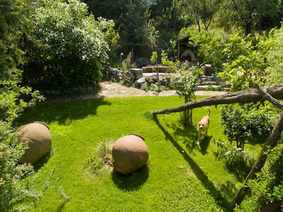 ​En Bosque Nativo · Cajón del Maipo, Francisco Vicuña Balaresque Francisco Vicuña Balaresque Casas de estilo rústico jardin,cajondelmaipo