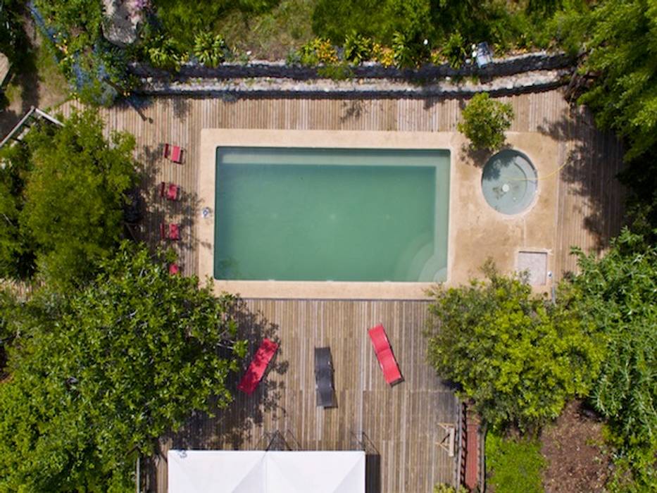 en bosque nativo · cajón del maipo, francisco vicuña balaresque homify