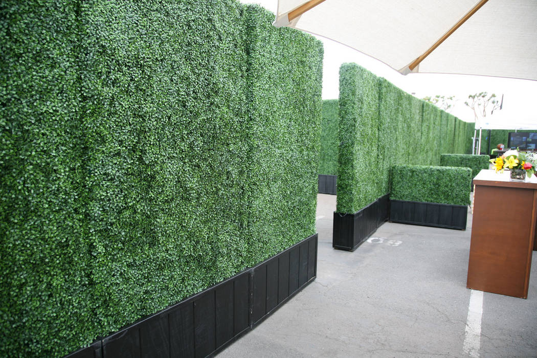 Artificial hedges in Planter, Sunwing Industries Ltd Sunwing Industries Ltd فناء أمامي