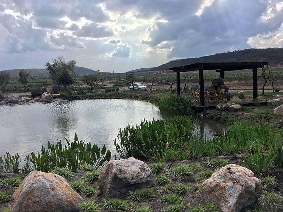 Lago Hábitas Estanques de jardín