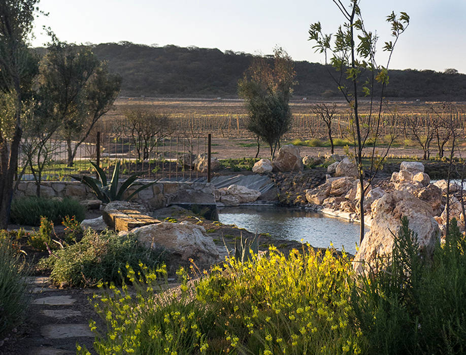 Fraccionamiento Puerta del Lobo., Hábitas Hábitas Country style garden