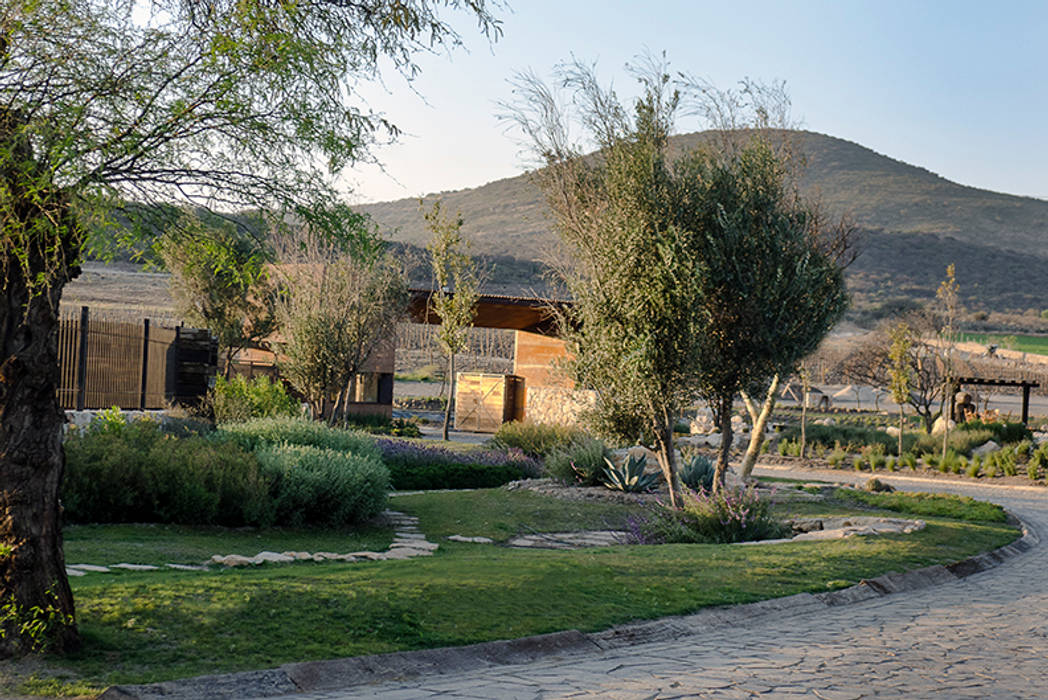 Jardín de acceso al Fraccionamiento Hábitas Jardines rurales Puerta del Lobo,plantas nativas,native plants