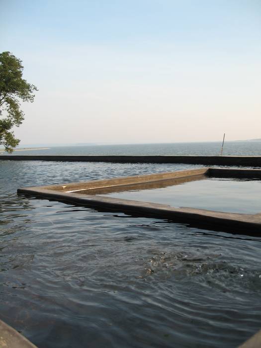 Shelter Island Pool & Terrace, andretchelistcheffarchitects andretchelistcheffarchitects Infinity pool