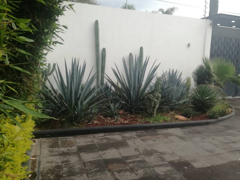 New México Style homify Jardines minimalistas Cactus