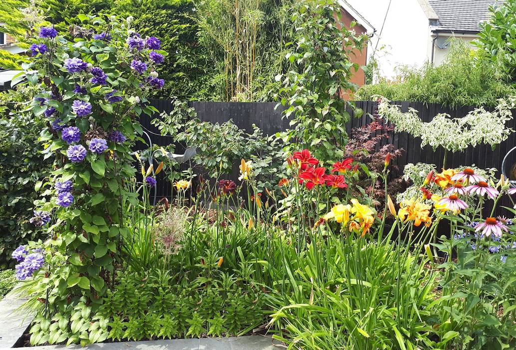 Small, contemporary garden Bracknell, Berkshire Linsey Evans Garden Design Modern garden Garden Design,Landscape Design,Bracknell,Berkshire,Surrey,Landscape Design,Bracknell,Berkshire,Surrey