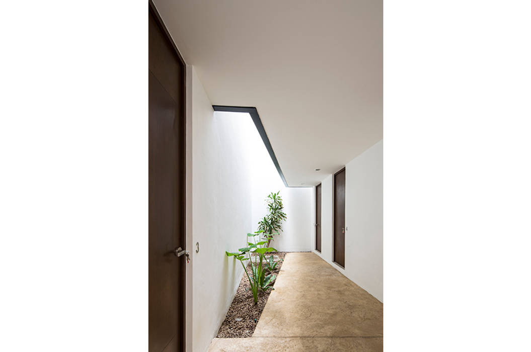 SALVATIERRA 150, P11 ARQUITECTOS P11 ARQUITECTOS モダンスタイルの 玄関&廊下&階段