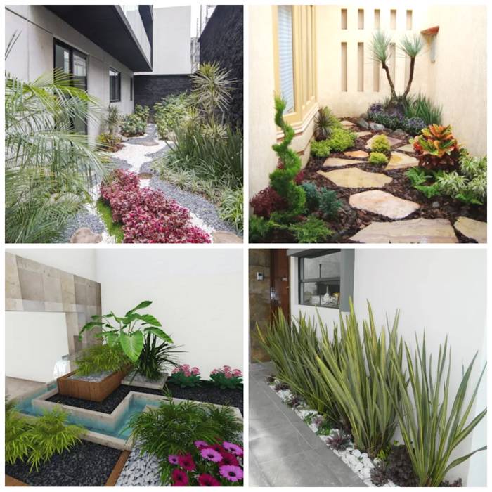 25 ideas para darle vida a tu hogar con jardines pequeños homify Jardines de estilo moderno