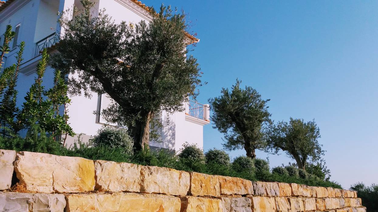 Jardim Gião Jardins mediterrânicos por JARDIMGARVE Mediterrânico